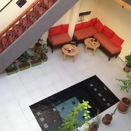 Riad Jeremy-2